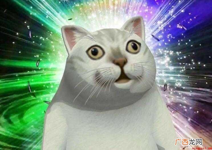 奇怪的反义词是什么内容 奇怪的反义词是什么