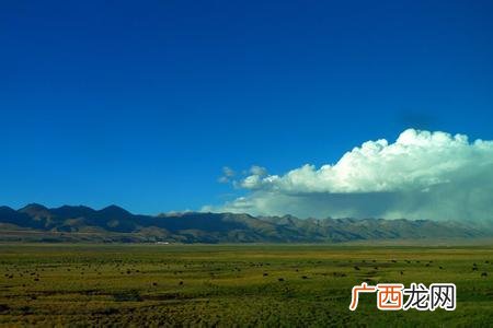 天苍苍野茫茫是什么歌,功守道主题曲歌词是什么，主题曲《风清扬》完整歌词？