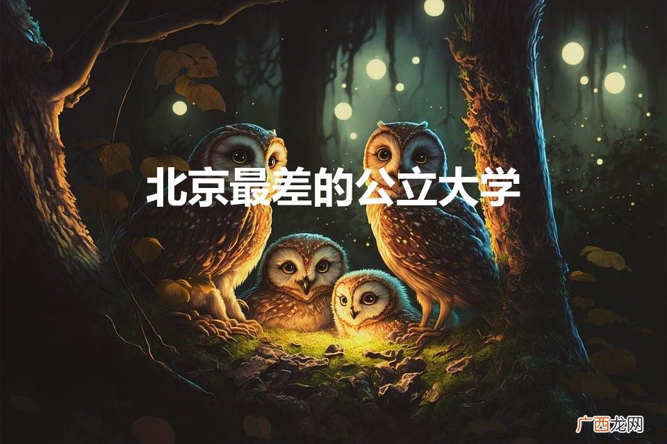 北京最差的公立大学（北京最差的公立大学排名)