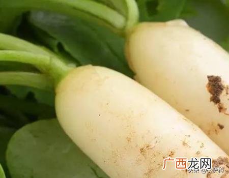 萝卜怎么做好吃,萝卜怎么做好吃？