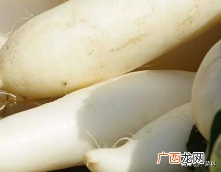萝卜怎么做好吃,萝卜怎么做好吃？
