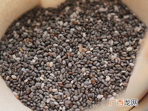 奇亚籽和兰香子的区别,金眉籽和奇亚籽区别？