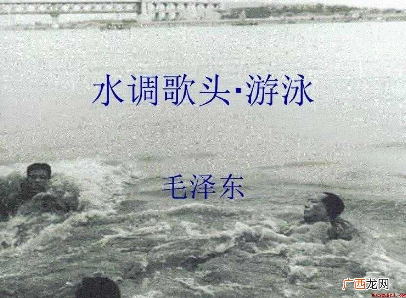 水调歌头·游泳中的一桥是指什么桥 《水调歌头·游泳》中的一桥是指什么桥