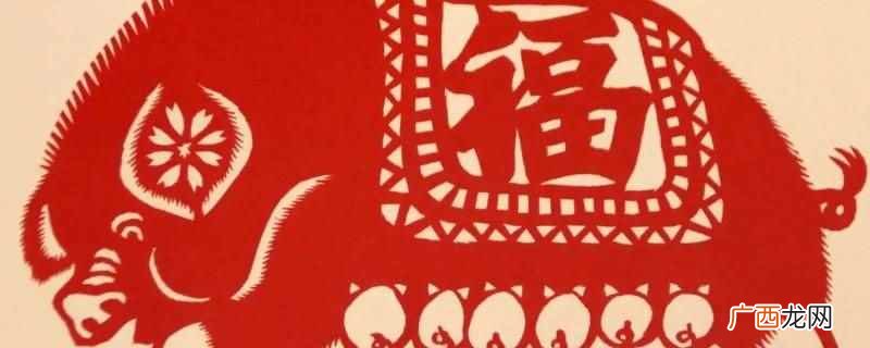 家家户户打一生肖的谜底是猪 家家户户打一生肖