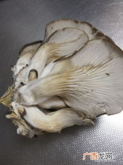 蘑菇怎么做好吃又简单,炸过的蘑菇怎么做好吃？