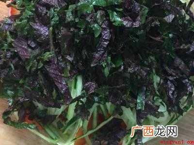 紫苏叶有哪些吃法