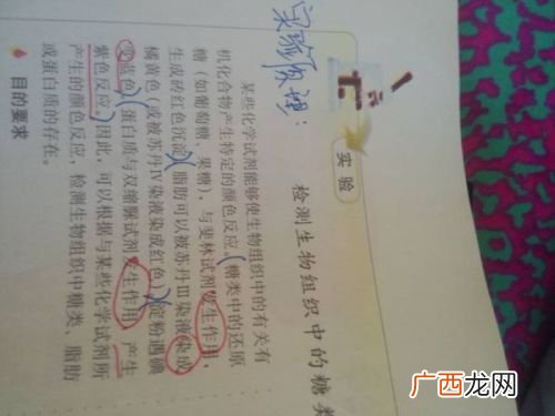 检测还原糖的原理是什么,兰艾农法测定还原糖的原理？