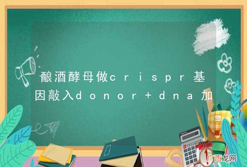 酿酒酵母做crispr基因敲入donor dna加多少