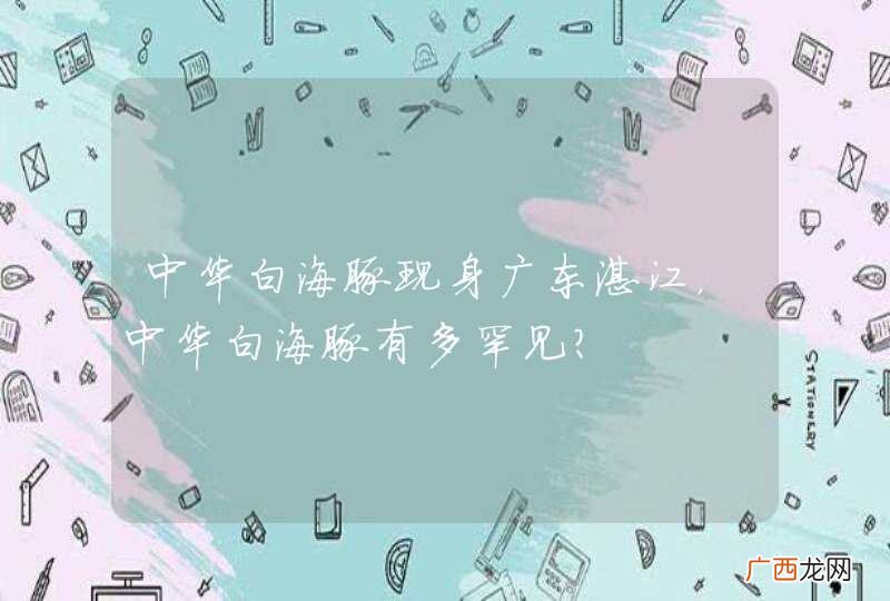 中华白海豚现身广东湛江，中华白海豚有多罕见？