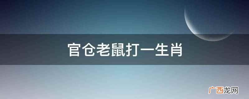 官仓老鼠没有指代的生肖 官仓老鼠打一生肖