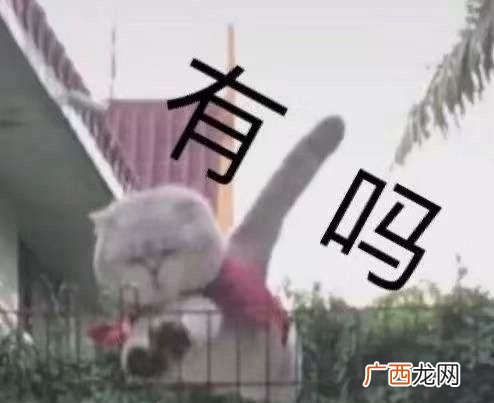Gay圈0多1少的一句话 2020没有1是什么梗