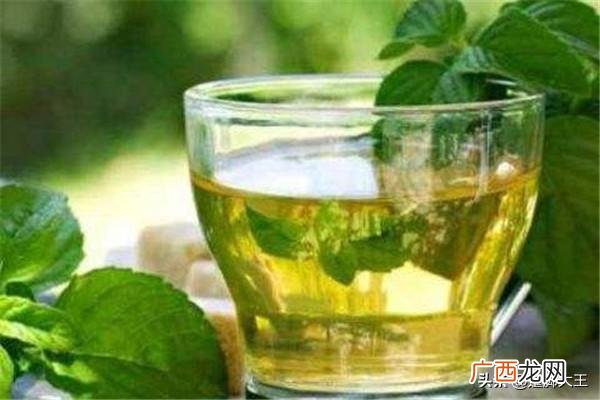 薄荷叶泡水的方法,薄荷茶怎么做？