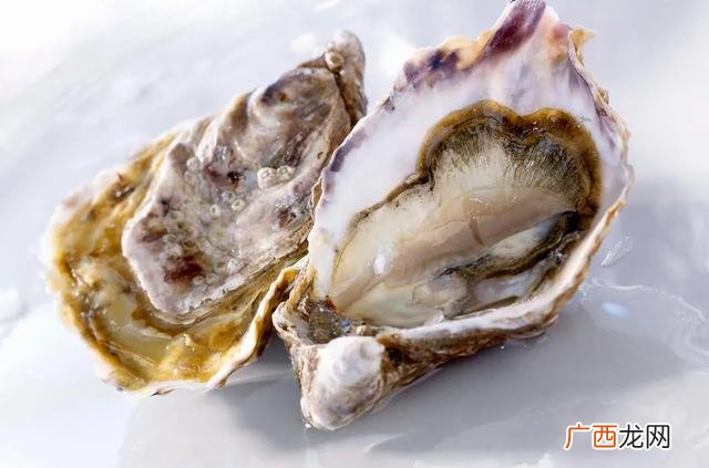 买的带壳生蚝怎么存放,生蚝可以放多久,新鲜带壳的生蚝怎么保存？