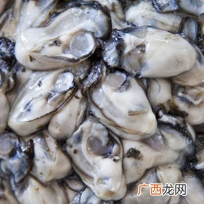买的带壳生蚝怎么存放,生蚝可以放多久,新鲜带壳的生蚝怎么保存？