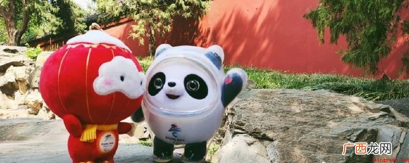 2022年北京市冬天奥运会吉祥物设计以熊猫为原形开展设计方案 冰墩墩的介绍