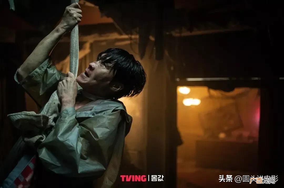 近期热播的四部高分韩剧推荐 好看的热门高分韩剧排行