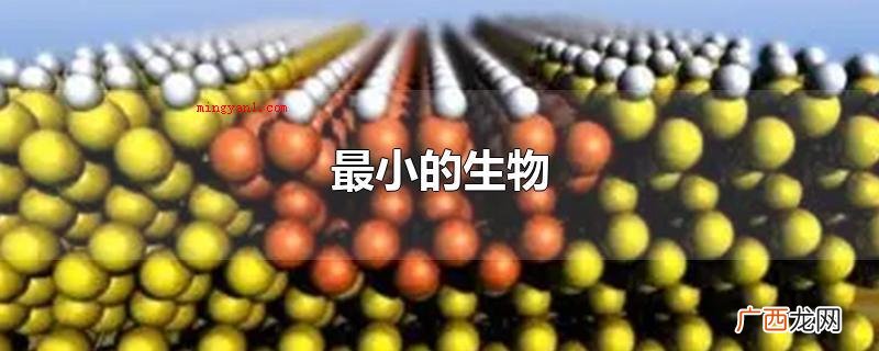 世界上最小的生物名字叫做十亿分之一米,比病菌还需要小 最小的生物