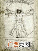 艺术设计包括什么,美术根据艺术门类可划分为什么？