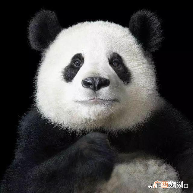 艺术设计包括什么,美术根据艺术门类可划分为什么？