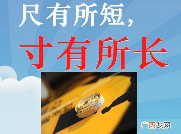 尺有所短寸有所长比喻什么,尺有所短，寸有所长.物有所不足，智有所不明.是什么意思？