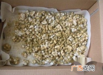霉豆子的制作方法,怎么做霉豆子霉得快？