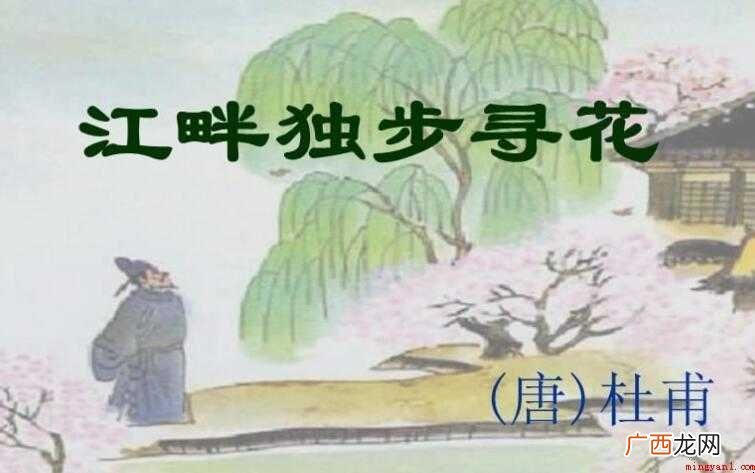 江畔独步寻花其六是什么季节写 《江畔独步寻花其六》是什么季节写的