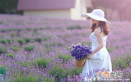 花开有时下一句是什么,彼岸花开,思念成殇琉璃错,花开彼岸,天涯海角谁守候。是什么意思？