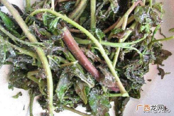 香椿怎么吃好吃又简单,香椿的家常做法？