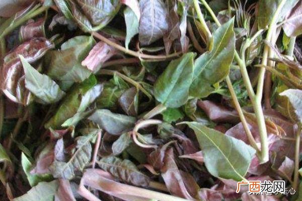 香椿怎么吃好吃又简单,香椿的家常做法？