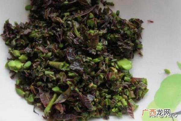 香椿怎么吃好吃又简单,香椿的家常做法？