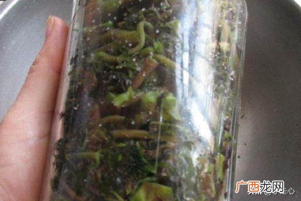 香椿怎么吃好吃又简单,香椿的家常做法？