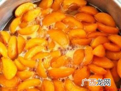 风干杏怎么吃