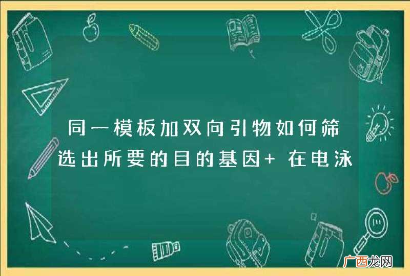 同一模板加双向引物如何筛选出所要的目的基因 在电泳图中怎么找所要的目的基因呢？