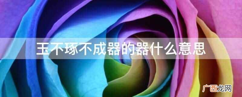 玉不琢不成器的器意思是器物 玉不琢不成器的器什么意思