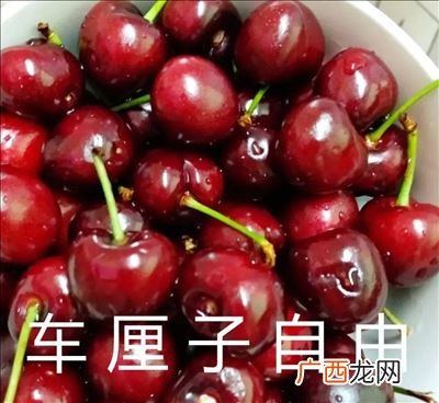 车厘子单勾双勾有什么区别,车厘子双钩和四钩有什么区别？