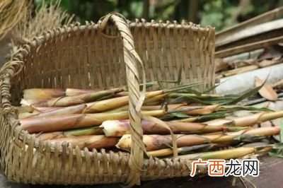 甘笋是什么,栗粟包括哪些粮食？