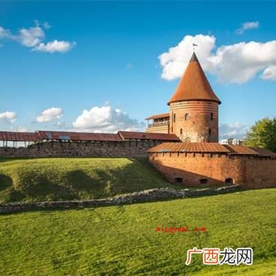 立陶宛的平均GDP约为2 立陶宛是发达国家吗？