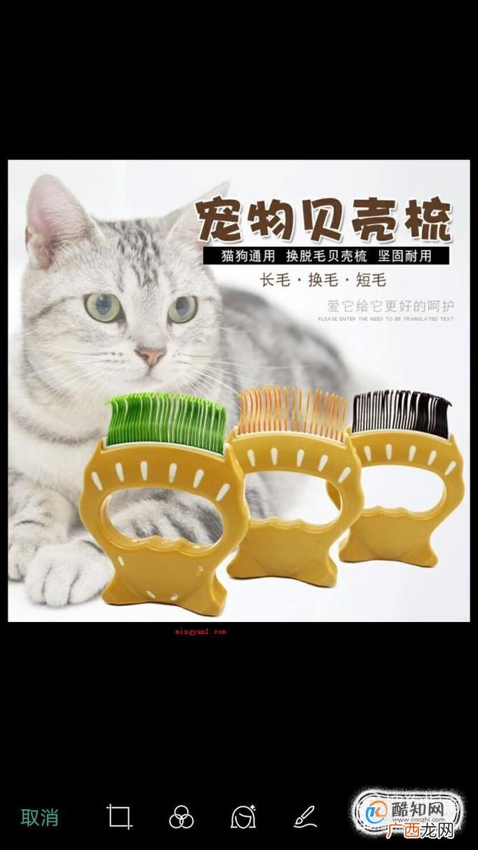 淘宝任意检索产品操作步骤 淘宝偷图、盗图最简单的方式