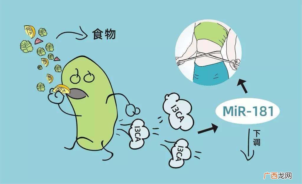 吃不胖体质是什么原因,为什么有的人个子小吃不胖？