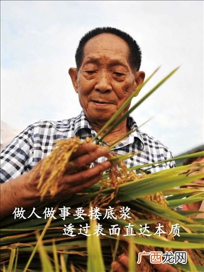 功勋电视剧袁隆平是第几集,功勋里蒋欣演的第几集？