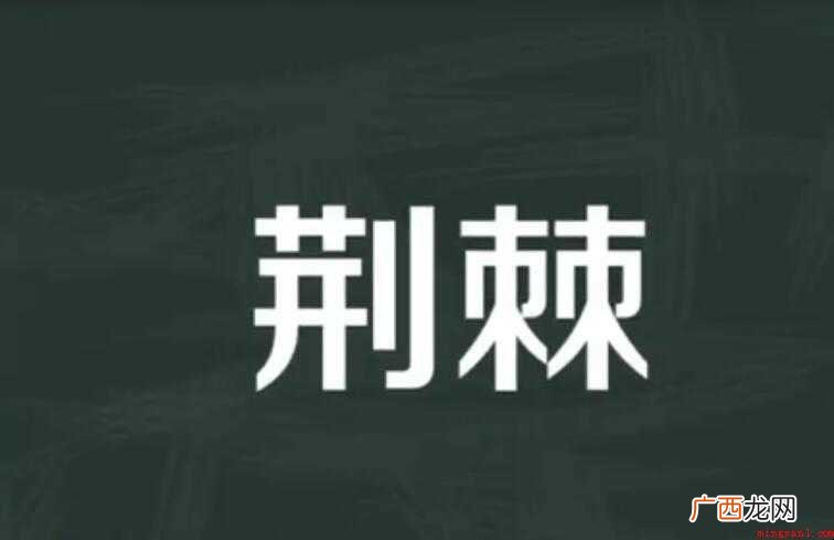 荆棘的意思是什么