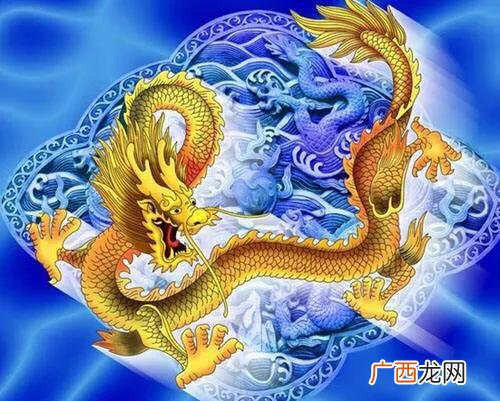 龙字由来,带龙字的特点和来历？