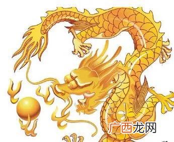 龙字由来,带龙字的特点和来历？