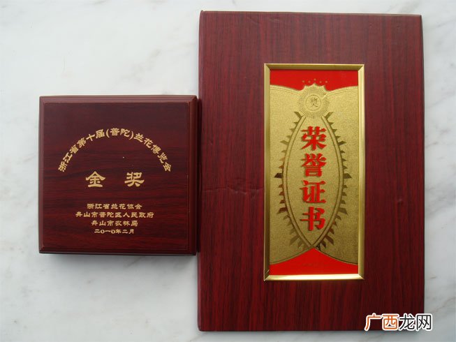 龙字由来,带龙字的特点和来历？
