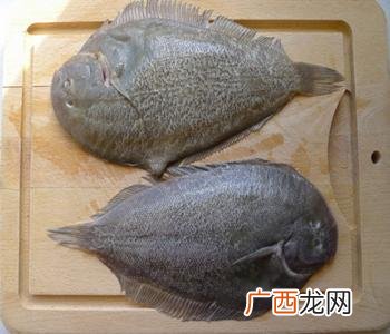目鱼和墨鱼有什么区别,乌贼，墨鱼，鱿鱼，到底有什么区别？