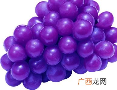 紫色的水果有哪些,9月份的紫色水果有哪些？