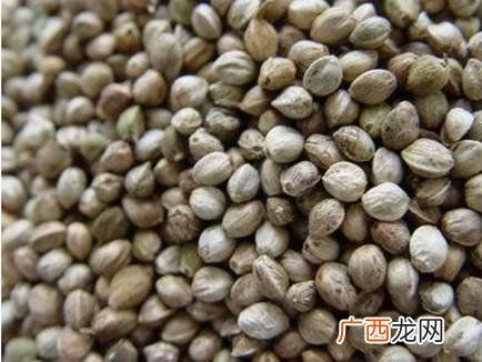 麻腐是什么,麻腐的做法？