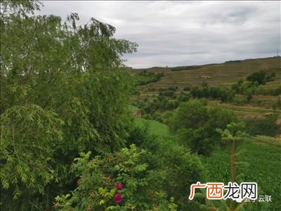 黄河四大支流,中国四大母亲河？