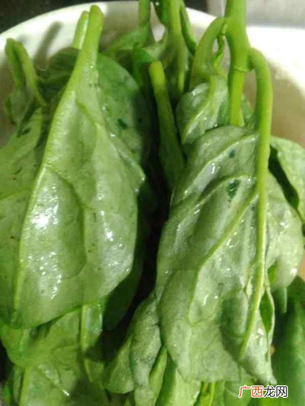 蚕菜的做法,蚕菜皮蛋的做法？
