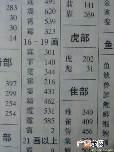 失字查什么部首,失查字典查什么偏旁？